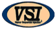 logo vsi